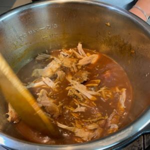 Stir Pulled Pork In the SAuce