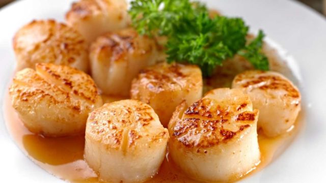 Plated Scallops