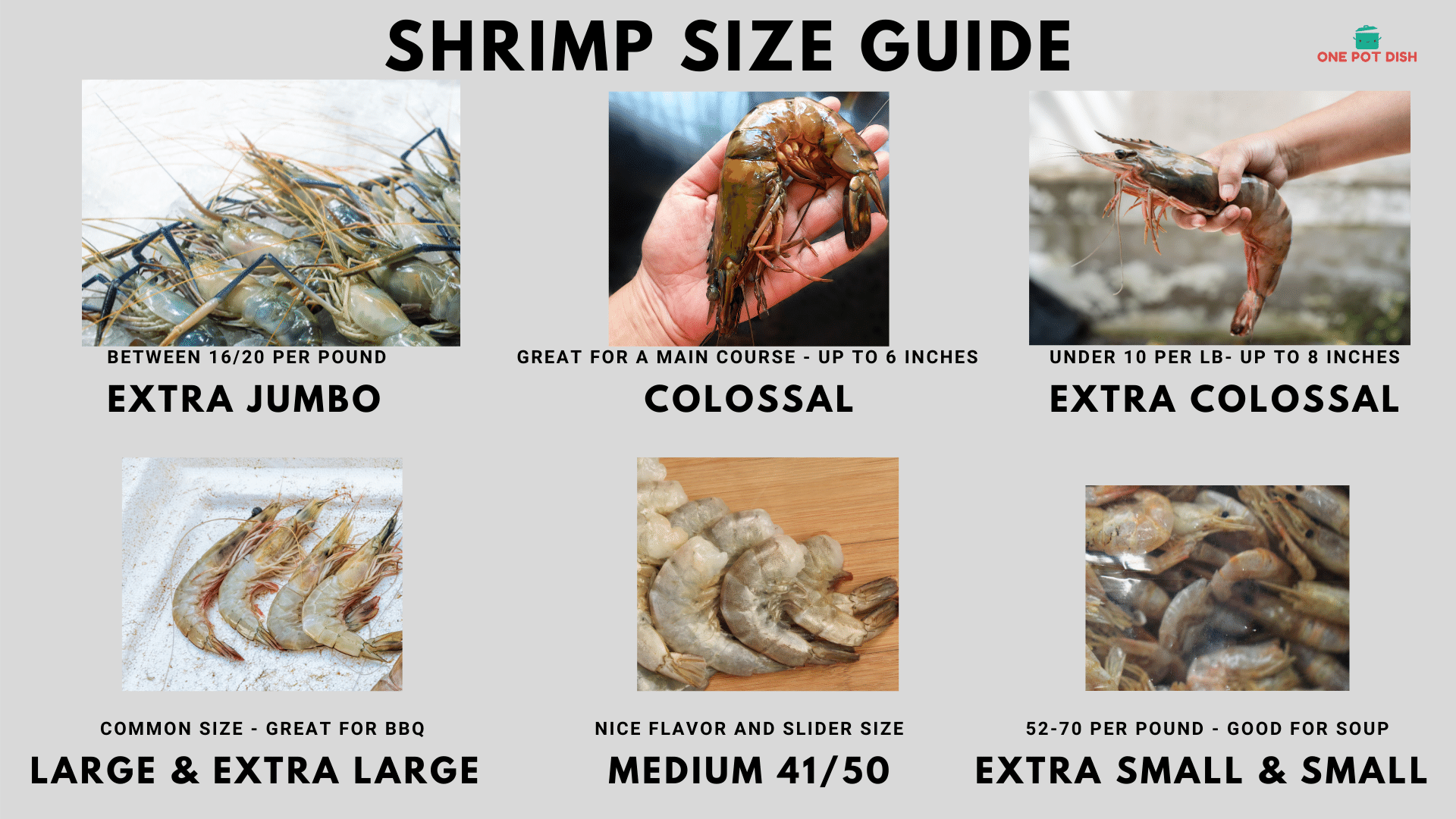 21 25 Count Shrimp Sizing Chart