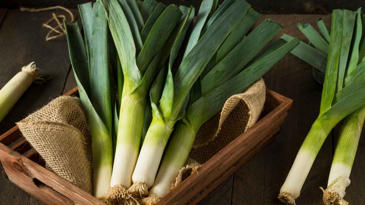 Substitute for Leeks
