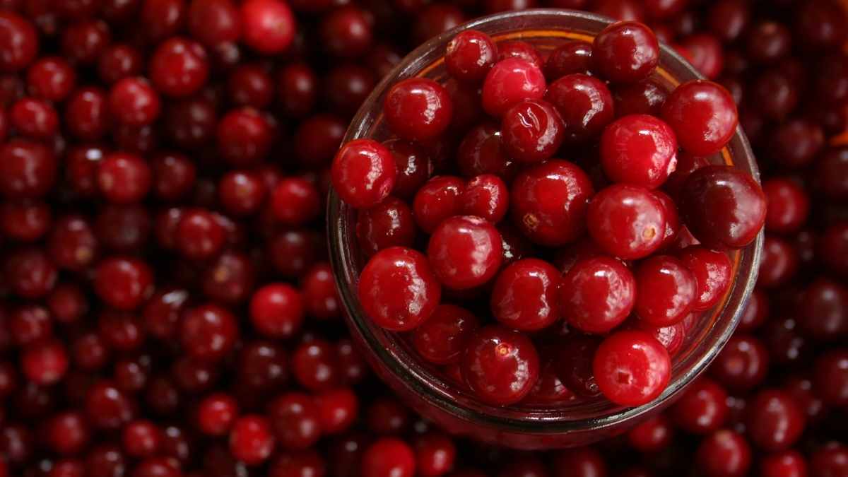 Do Cranberries Go Bad - How Long Do They Last