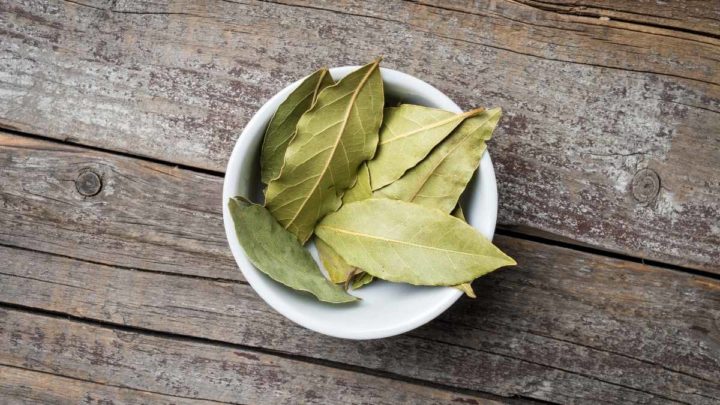 How do you store bay leaves for a long time?