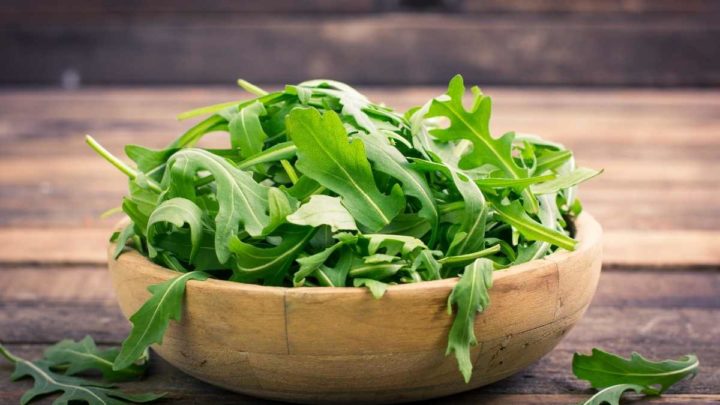 Arugula is a popular and trusted substitute for mustard powder.