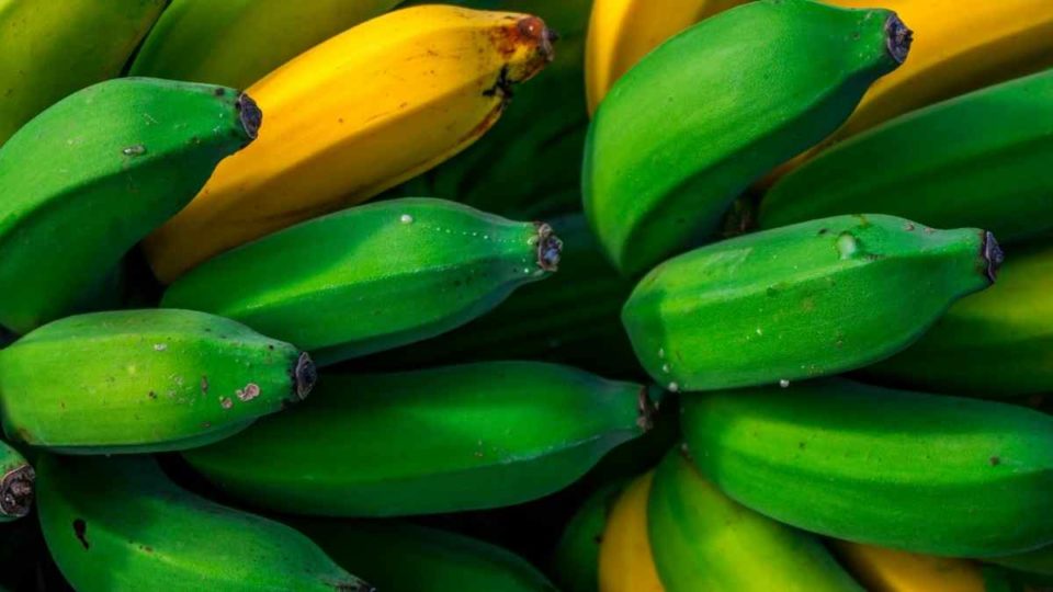 How to Ripen Plantains