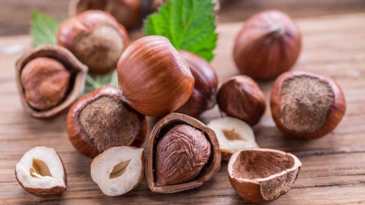 Can  I use Hazelnuts as a Substitute for Pine Nuts