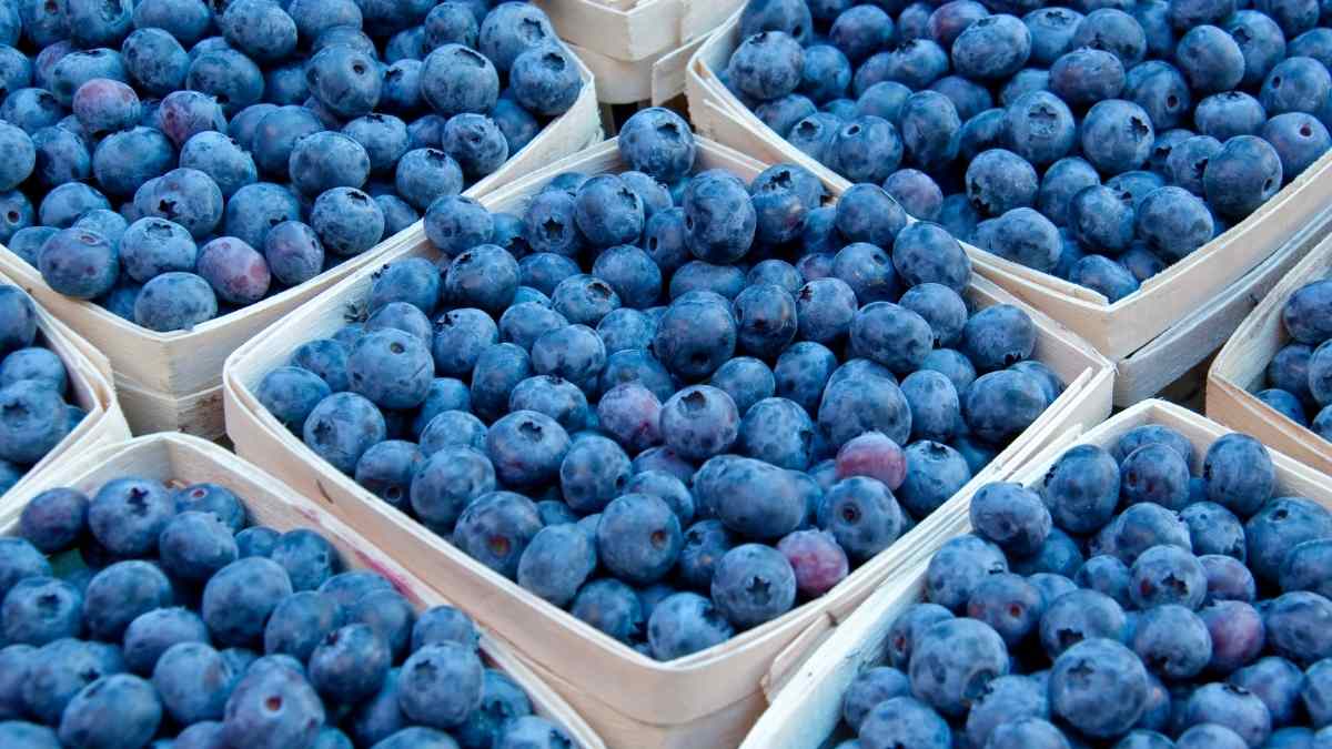 How Long Do Blueberries Last