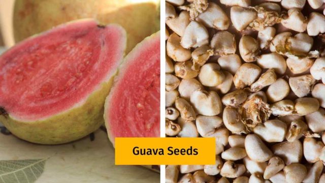 Guava Seeds Are Tasty