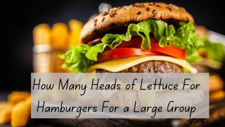 how many heads of lettuce for 100 burgers