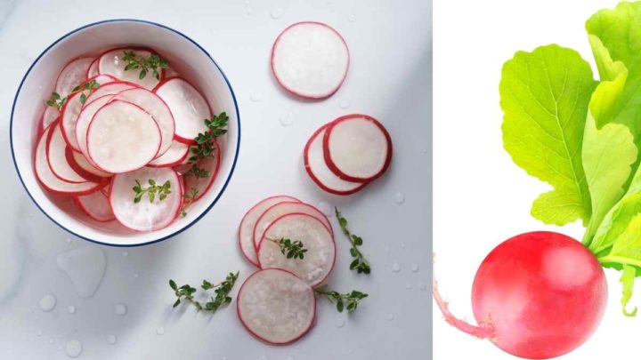 Radish Is Often Used in A Salad