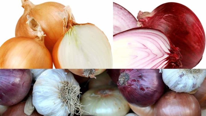 Can You Substitute Pearl Onions for Onions