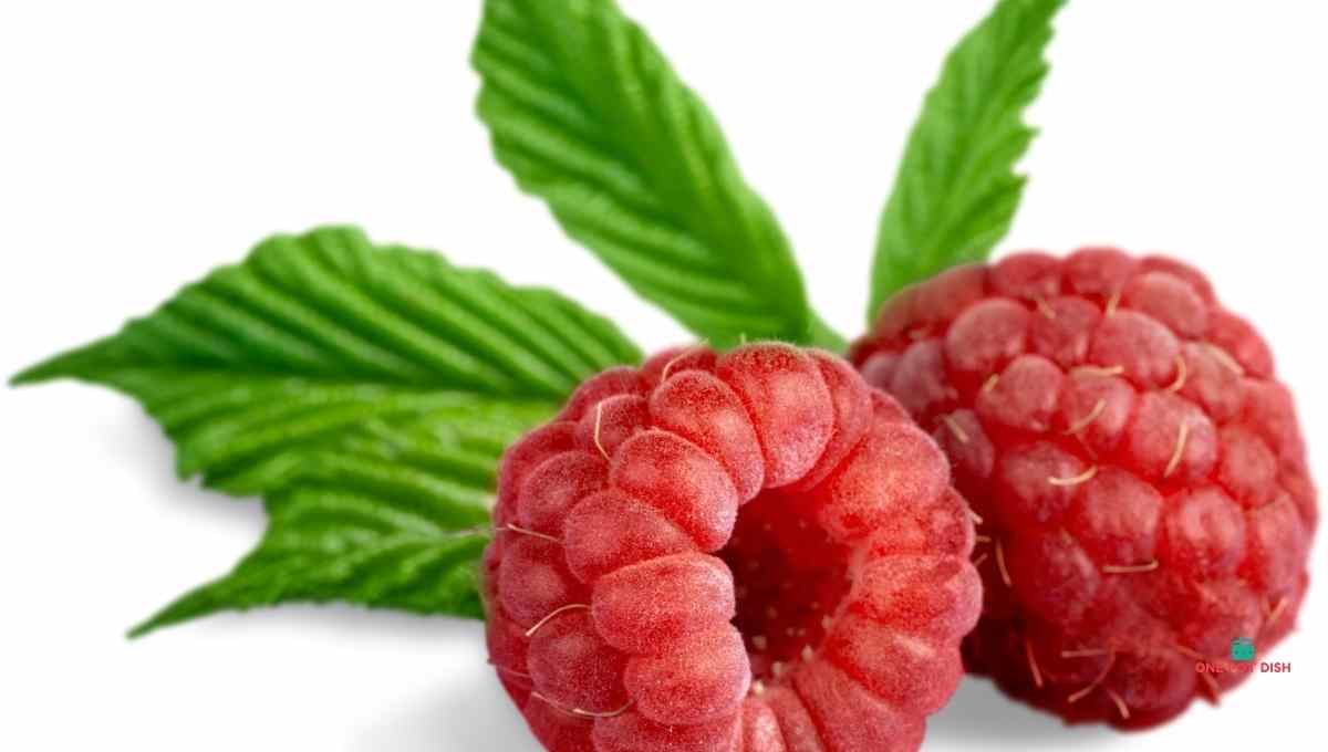 How Long Do Raspberries Last - Fridge, Freezer or Left Out