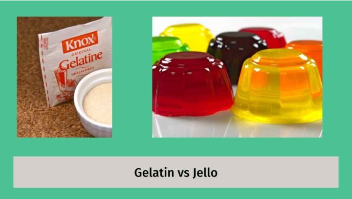 Jello vs Gelatin