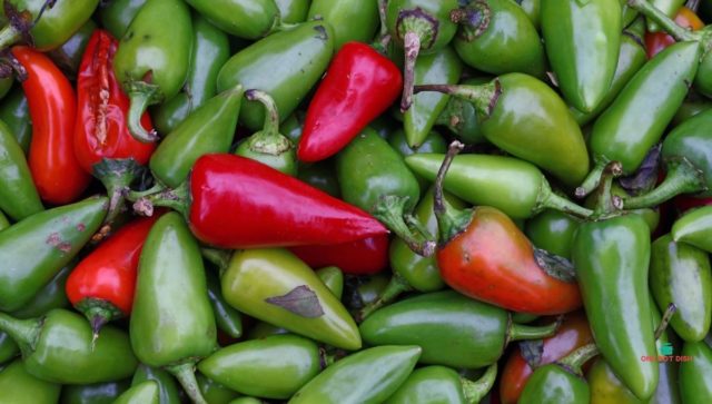 Will Green Picked Jalapenos Go Red 