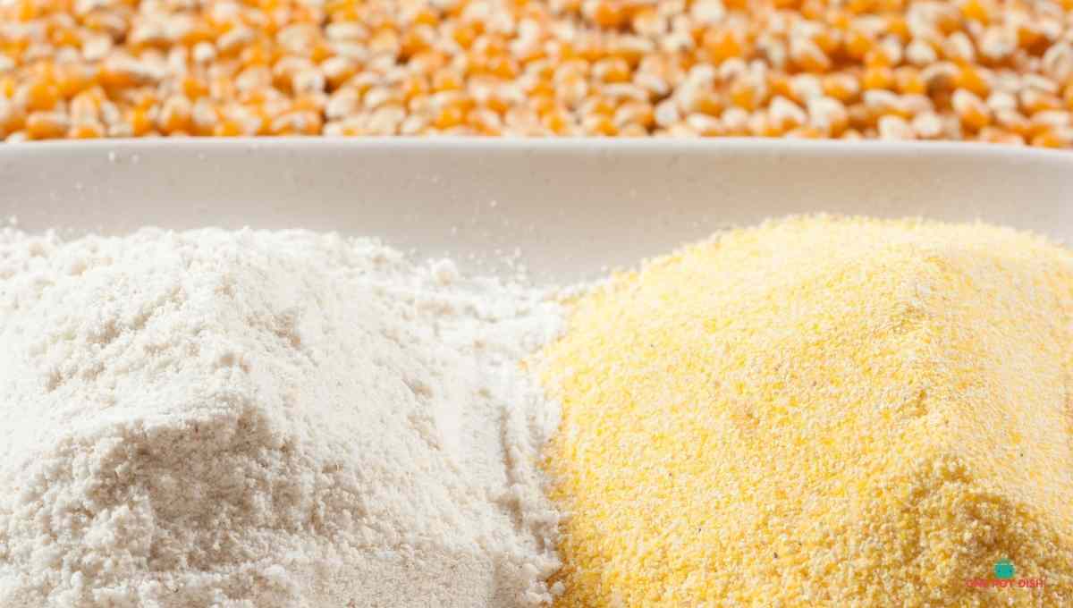 Corn Flour Substitutes