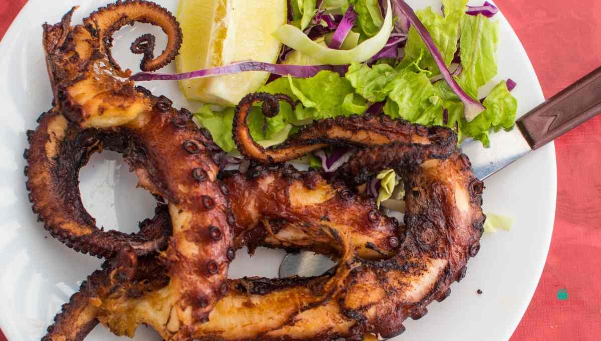 What Does Octopus Taste Like?