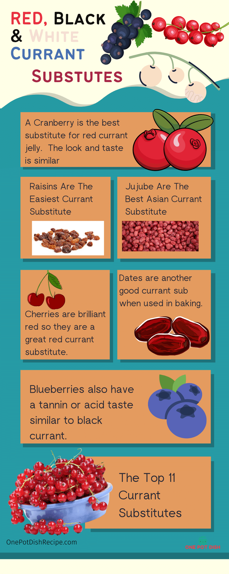 Currant Substitute Cheat sheet
