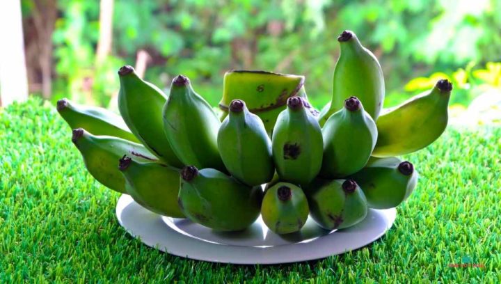 Can Green Banana Be Eaten as A Vegetable