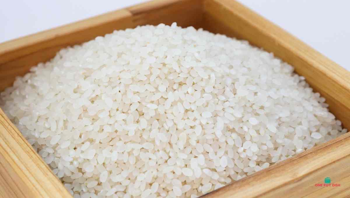 Can You Freeze Uncooked Rice