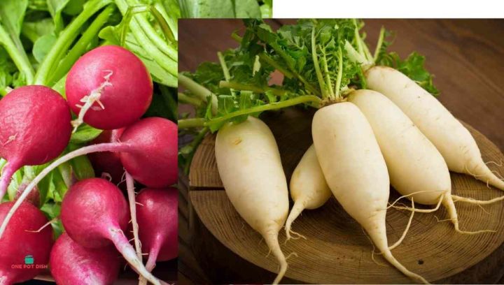 Are parsnips and radishes the same?