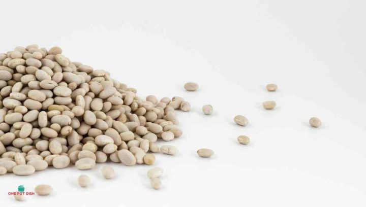 Are white navy beans the same as great northern beans?