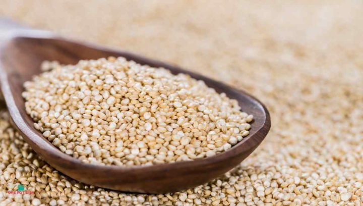 Quinoa tastes different from rice but binds well