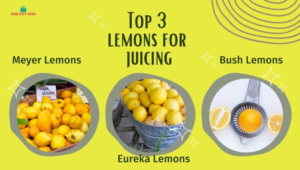 Top 3 Lemons For Juicing