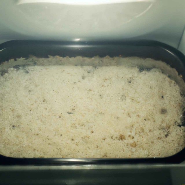 Hot Rice Cooling Inside a Fridge
