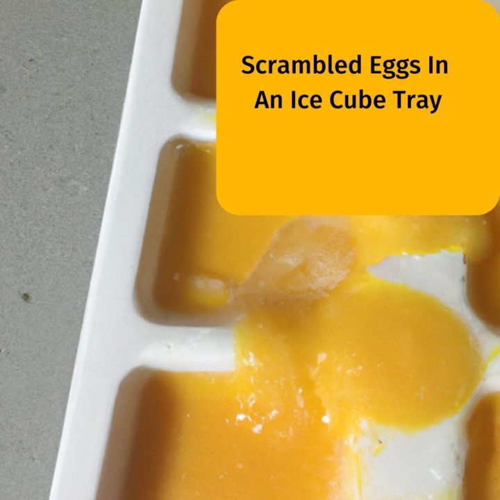 Frozen Scrambled Eggs In an Ice Cube Tray For Small Portions