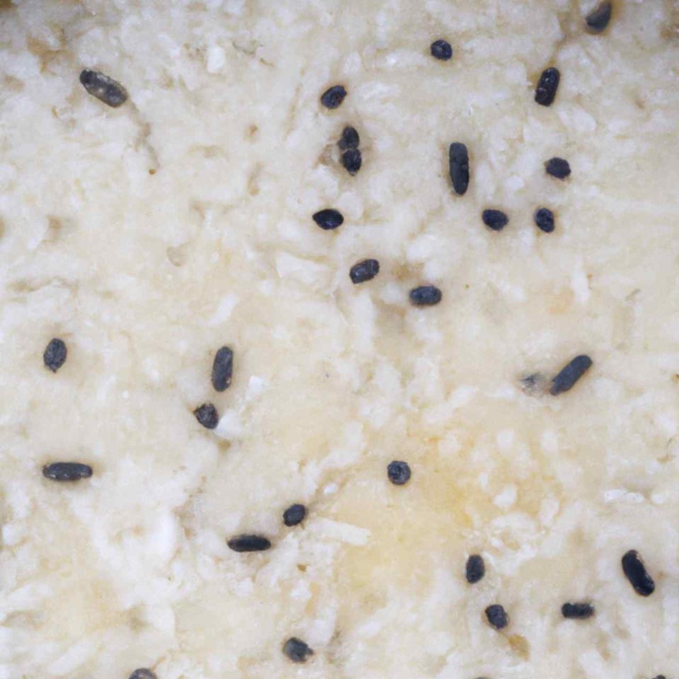 Does Cooked Rice Go Bad - See The Black Specs on Mold - This Rice Is bad