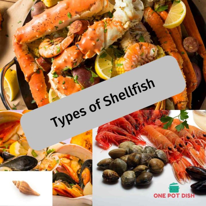 Shrimps Are One Of The Most Popular Shellfish We Feeding a Crowd