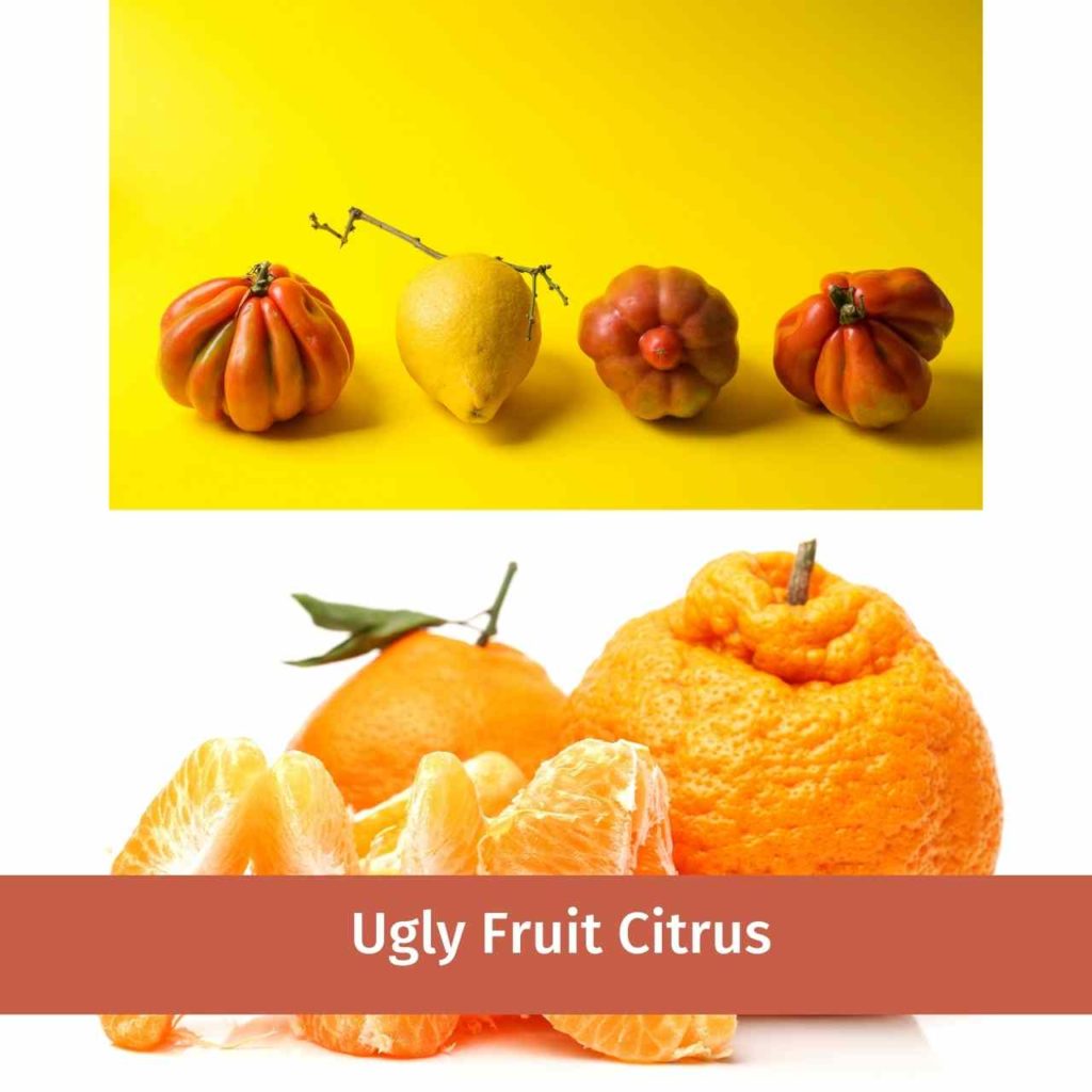 The ugly fruit is lumpy outside texture